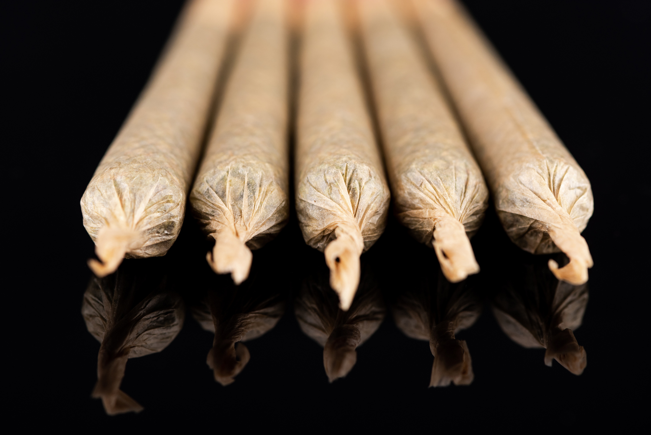 Cannabis Marijuana Rolled in Joints on Dark Reflective Backgroun